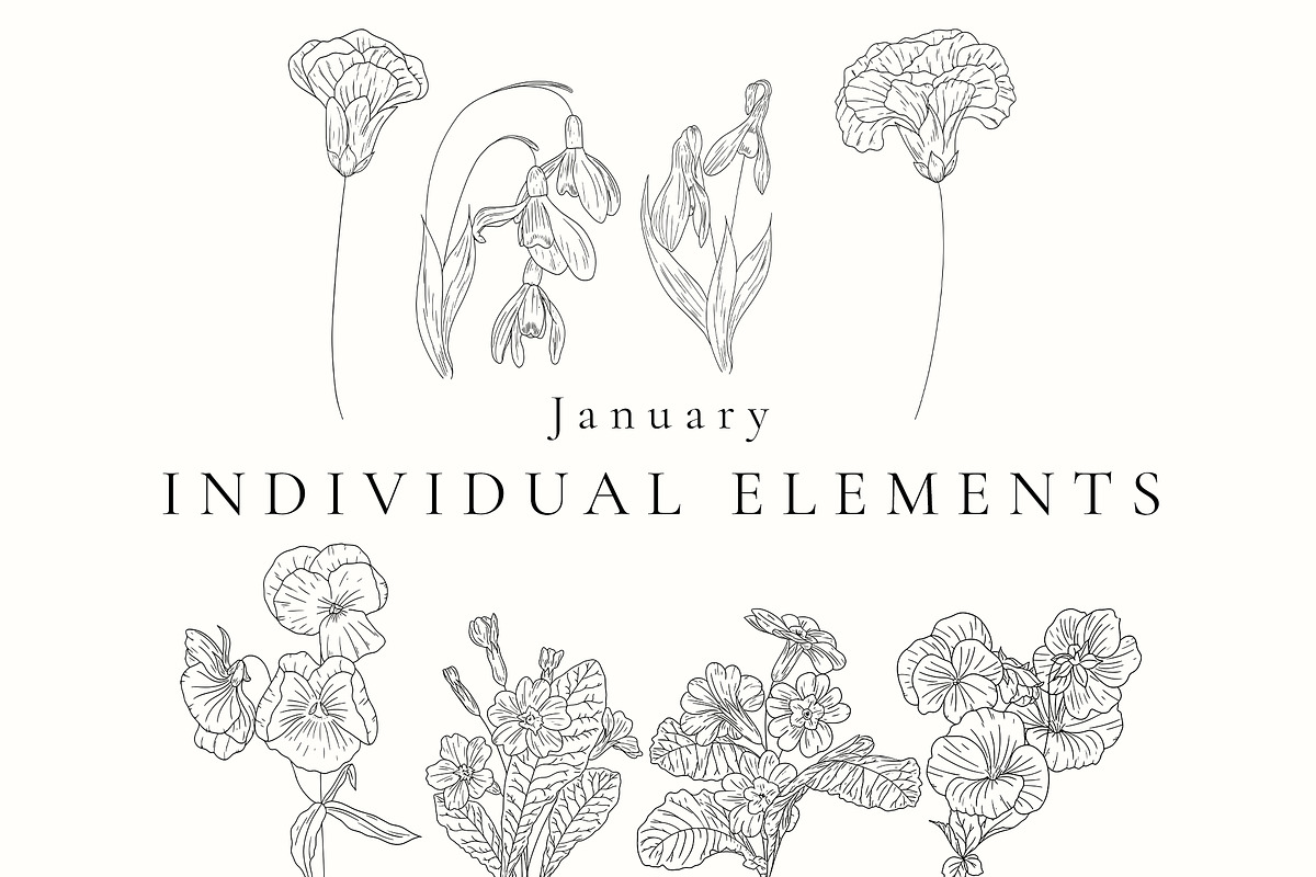 Birth Month Flowers SVG - PNG, a Decorative Illustration by AW Studios (Photo 2 of 11)
