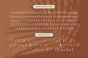 Rosse Merona Modern Serif Font, a Serif Font by timelesstype.co (Thumbnail 18 of 20)