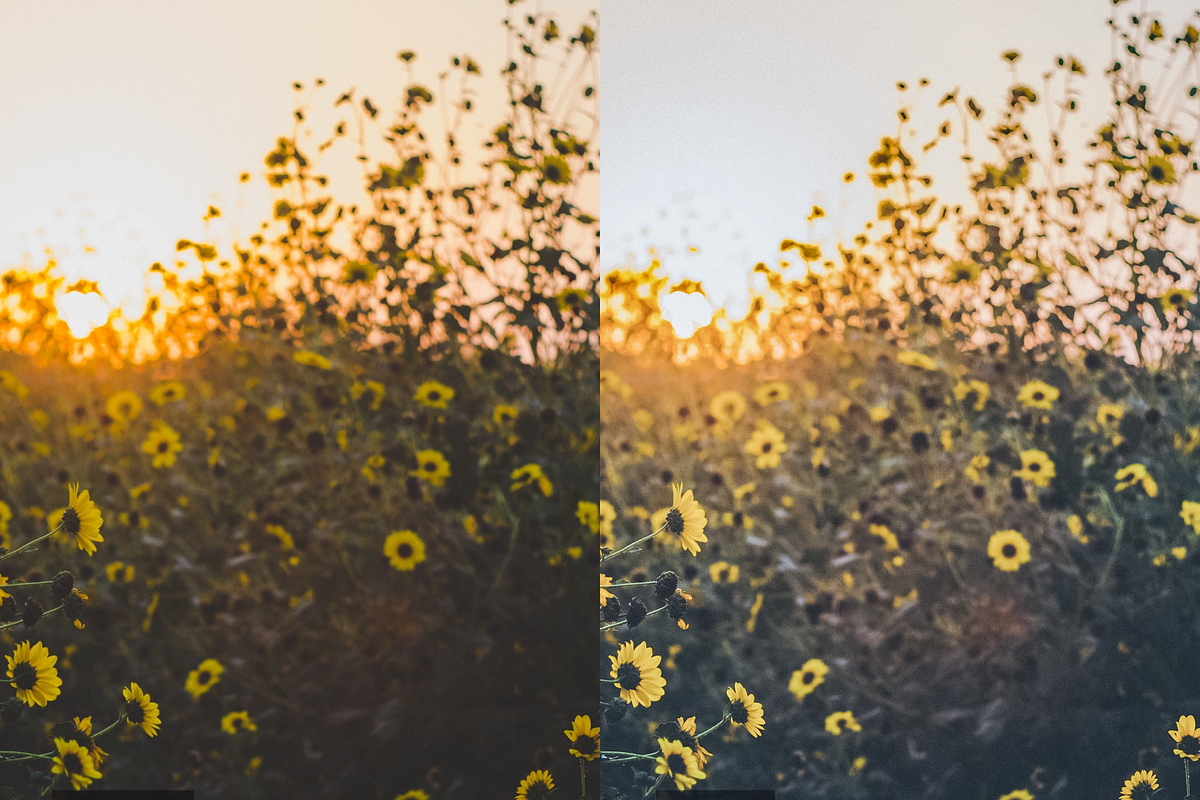 10 Sunshine Lightroom Presets, a Preset Add-On by RamsaGraphi (Photo 7 of 10)