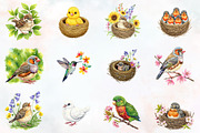 Summer Baby Birds Clipart, an Illustration by RobertsArt (Thumbnail 2 of 7)