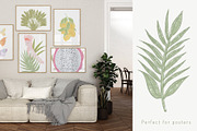 Solana tropical whimsy clipart, an Object Graphic by mila_leev (Thumbnail 5 of 10)