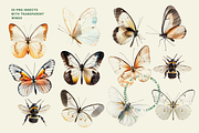 Transparent Wings Contemporary Art, an Object Graphic by Red Ink (Thumbnail 2 of 8)