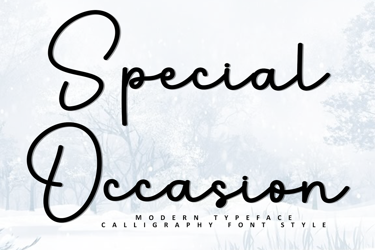 Special Occasion, a Handwritten Font by FreshTypeINK (Photo 1 of 8)