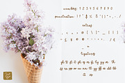 Anastasia a calligraphic font, a Script Font by Just Bia (Thumbnail 3 of 8)