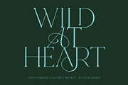 Tokyo Dreams Display Ligature Serif, a Serif Font by Mila Garret (Thumbnail 8 of 28)