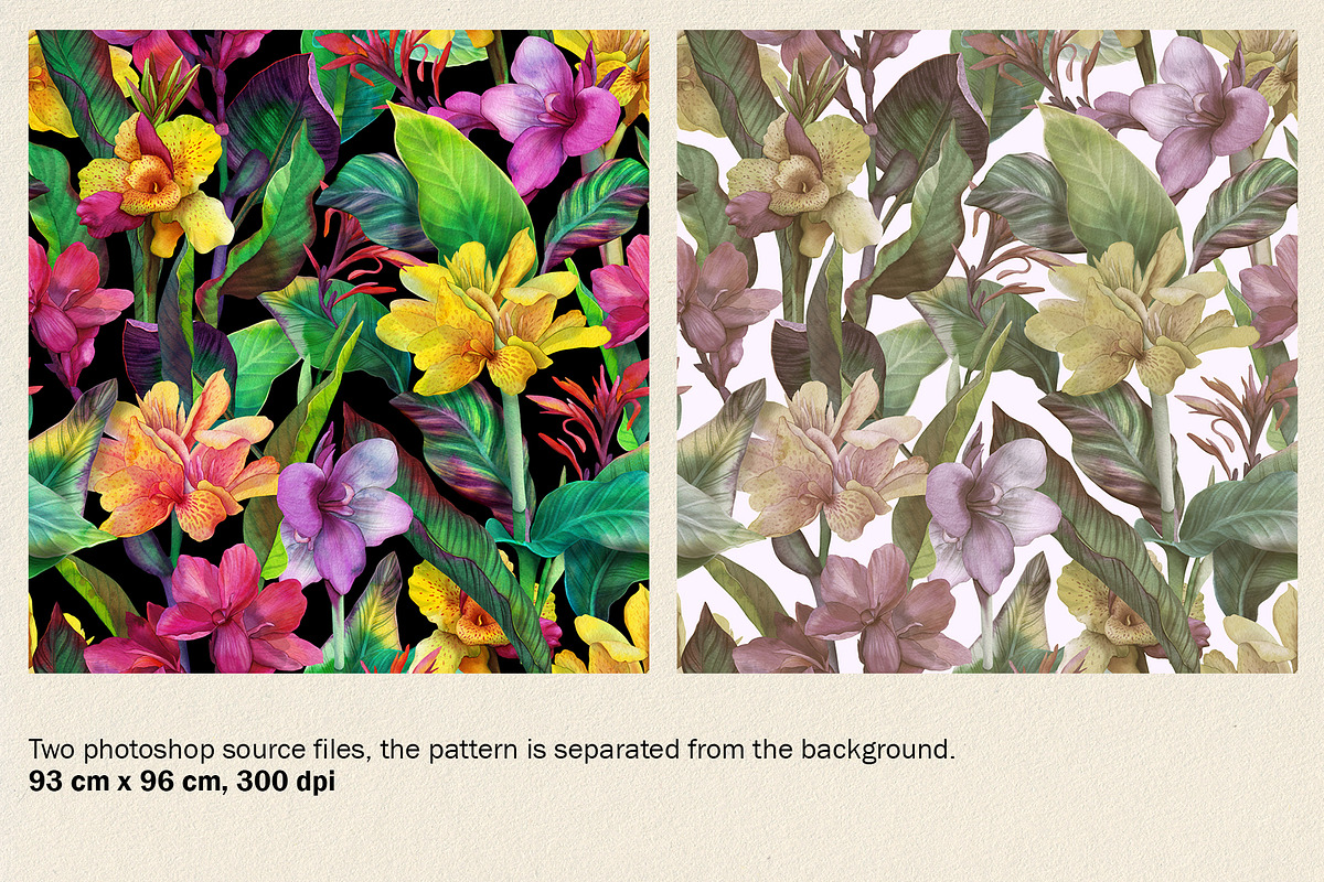 Tropical floral patterns set, a Pattern Graphic by emeraldthue (Photo 18 of 28)