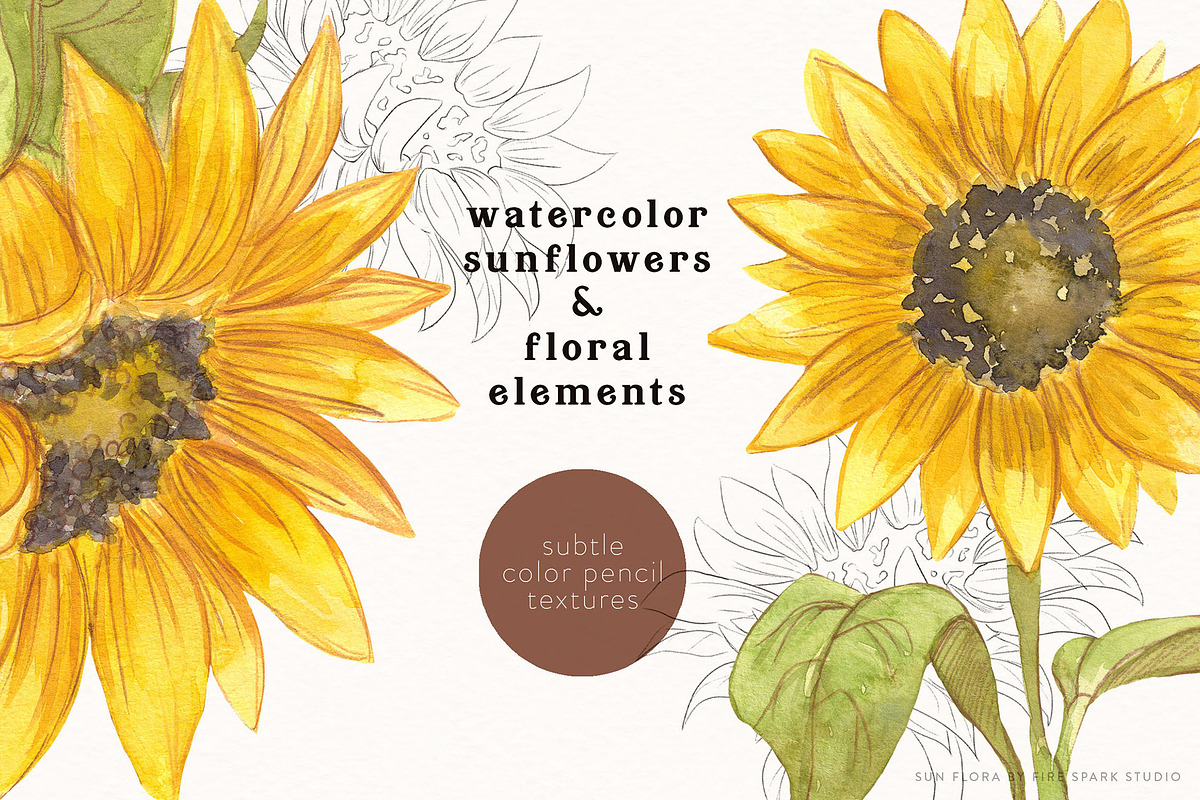 Sunflower Watercolor Illustrations, an Illustration by Fire Spark Studio (Photo 2 of 10)