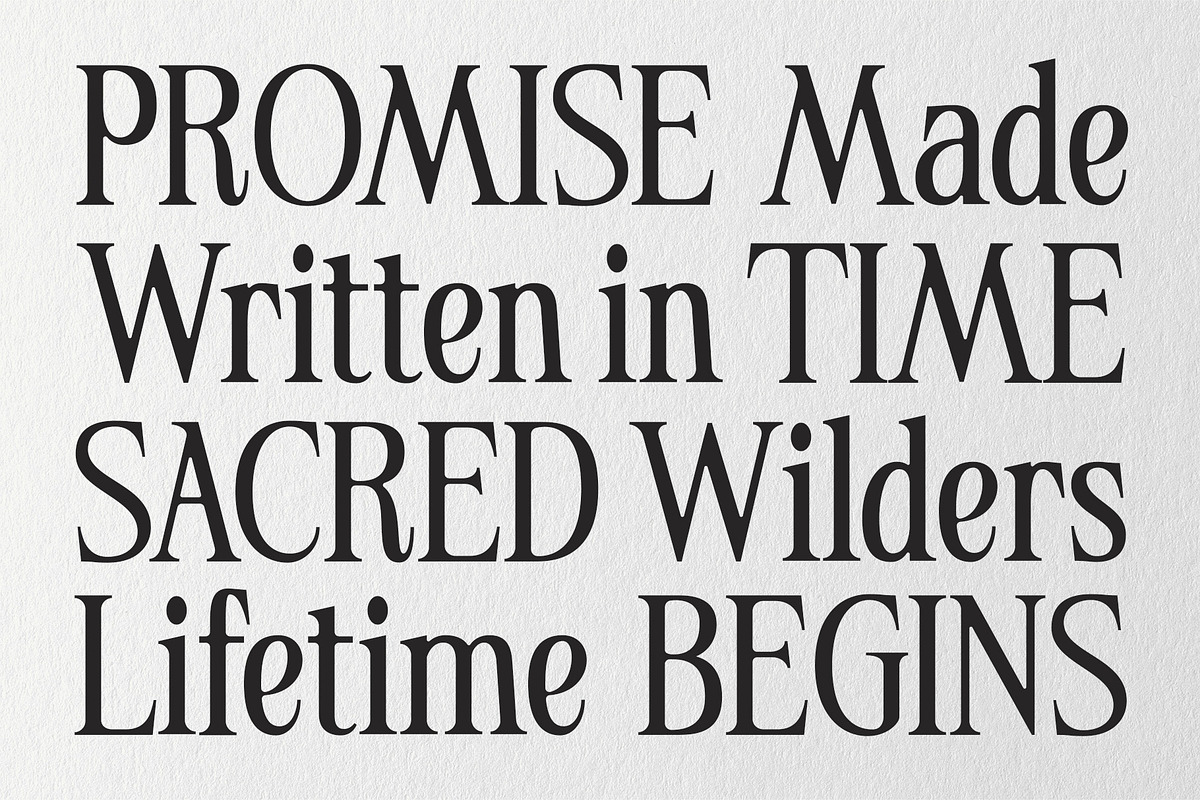 Roben Elegante Font Duo, a Serif Font by Honestype (Photo 8 of 12)