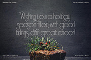 SLTF Holiday Whispers Typeface, a Sans Serif Font by SilverStag Type Foundry (Thumbnail 15 of 20)