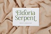 Blacindy Modern Serif Font, a Serif Font by Letterena Studios (Thumbnail 8 of 15)