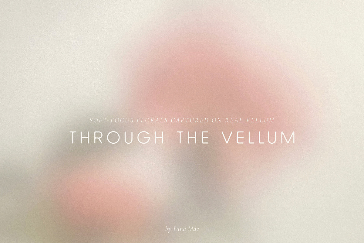 Through the Vellum - Backgrounds, a Background Graphic by Dina Mae (Photo 1 of 13)