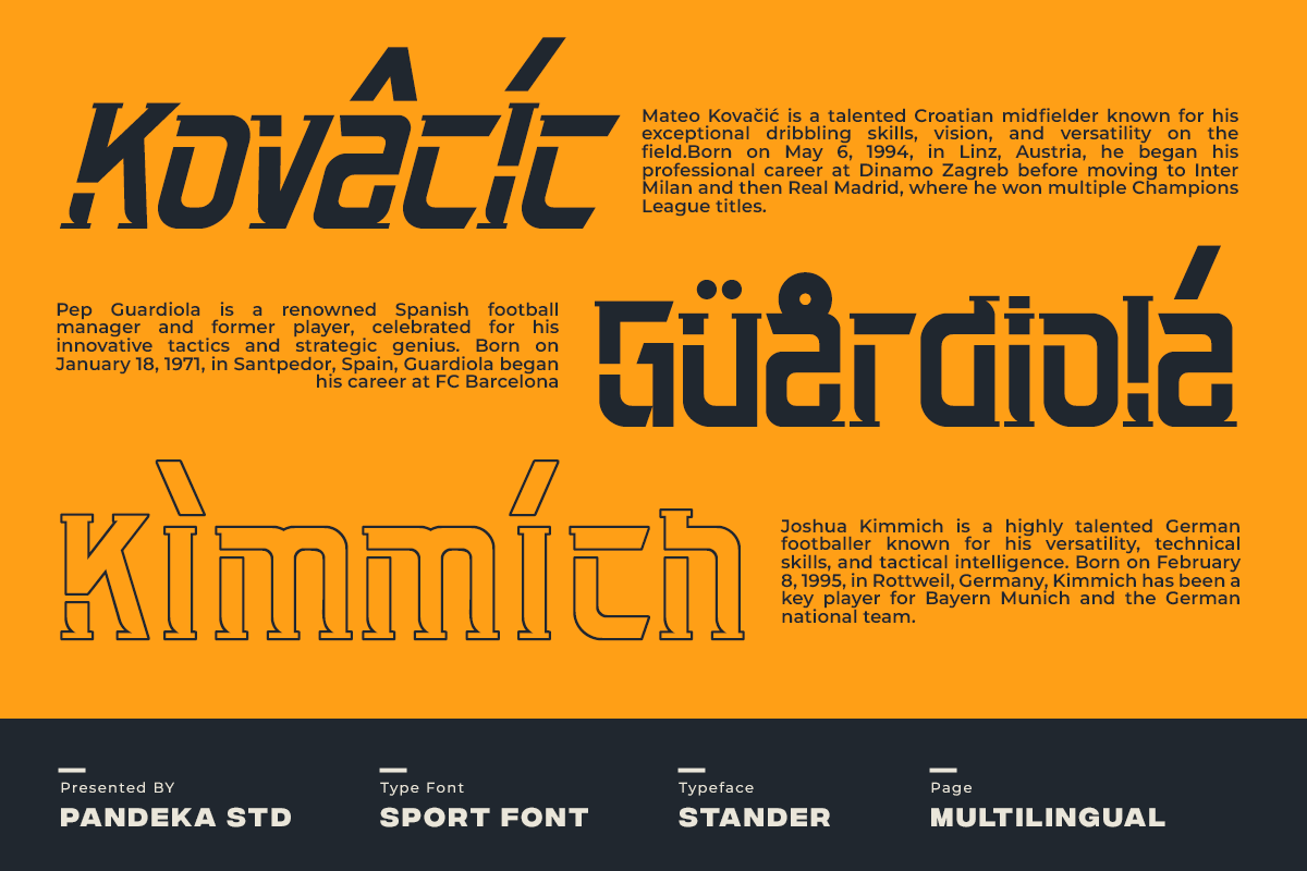 Stander - Sport Font, a Slab Serif Font by Pandeka Studio (Photo 4 of 12)