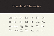 The Heart Mighty - Elegant Serif, a Serif Font by RockboyStd (Thumbnail 8 of 12)