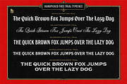 Arch Deco Graphic Bundle with Font, a Graphic by Novisouldado (Thumbnail 5 of 6)