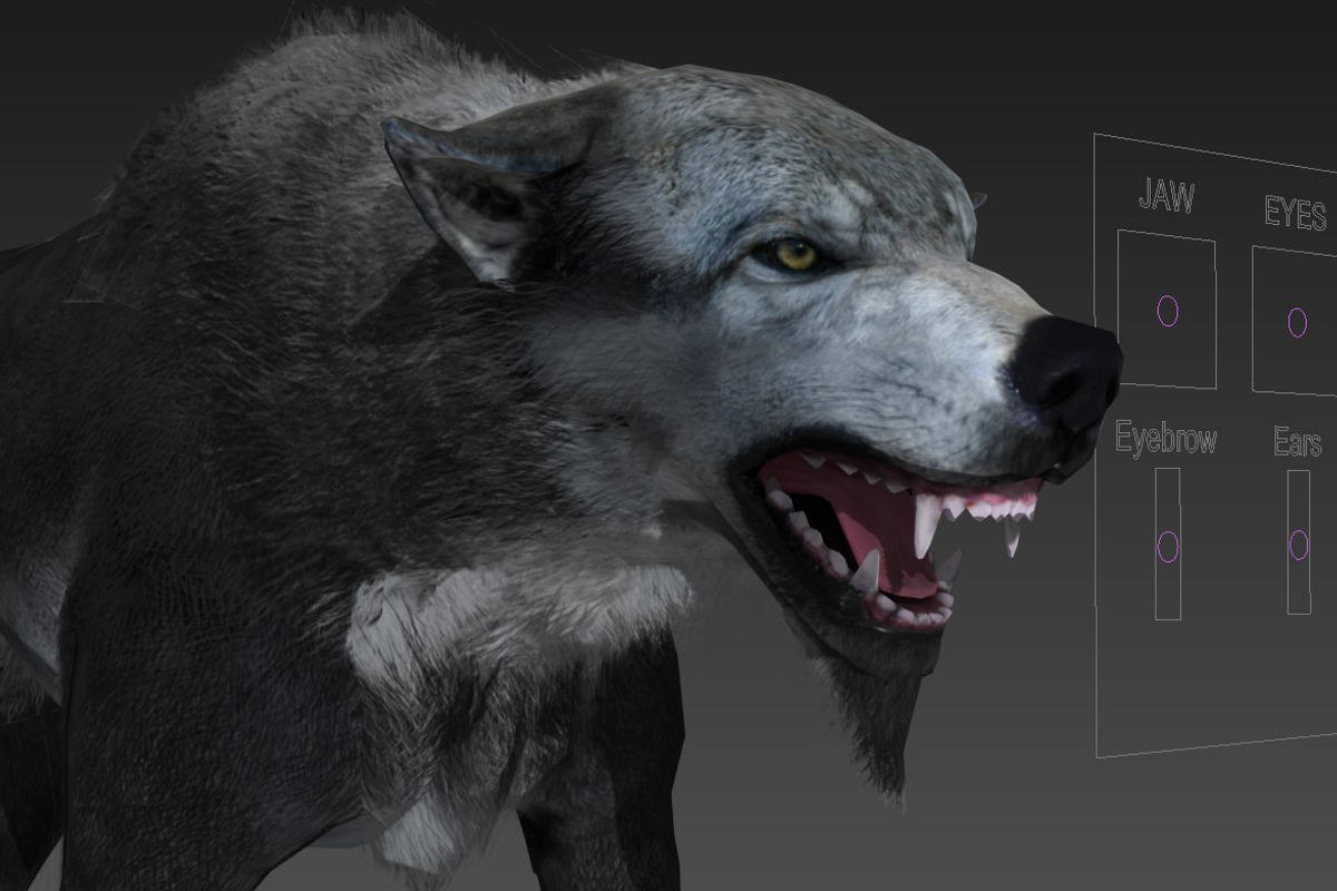 Wolf, an Animal 3D Model by Game-Ready Studio (Photo 5 of 5)