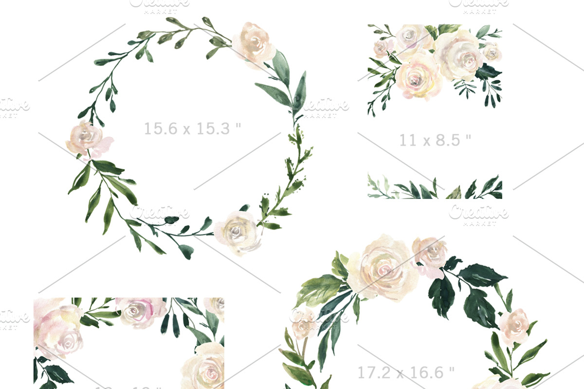 Watercolor White Roses Flowers, an Illustration by GraphicsDish