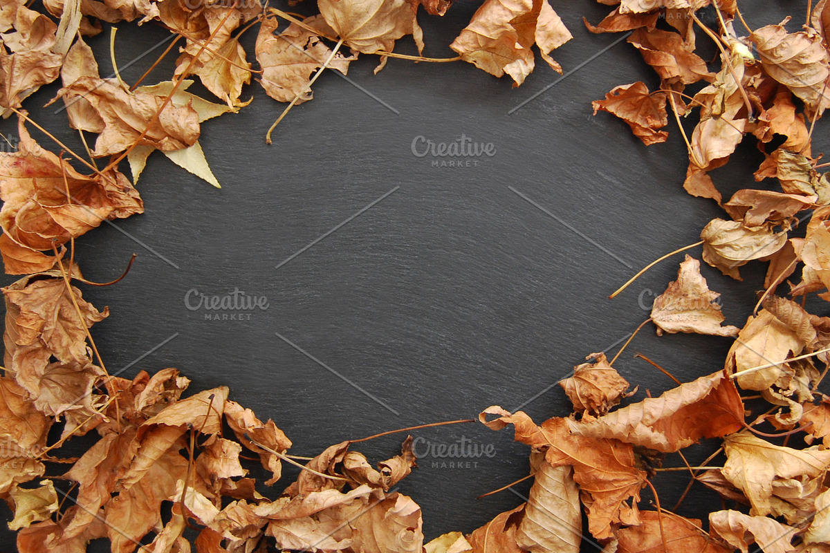 Autumn / Fall Background Image, a Nature Photo by Little Type Factory (Photo 2 of 2)