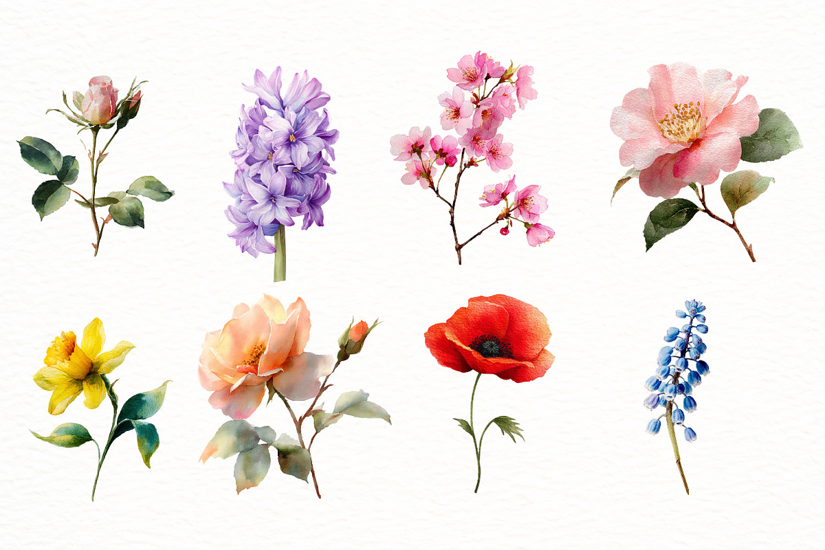 Watercolor Spring Flowers Clipart, an Illustration by Designworld (Photo 4 of 6)