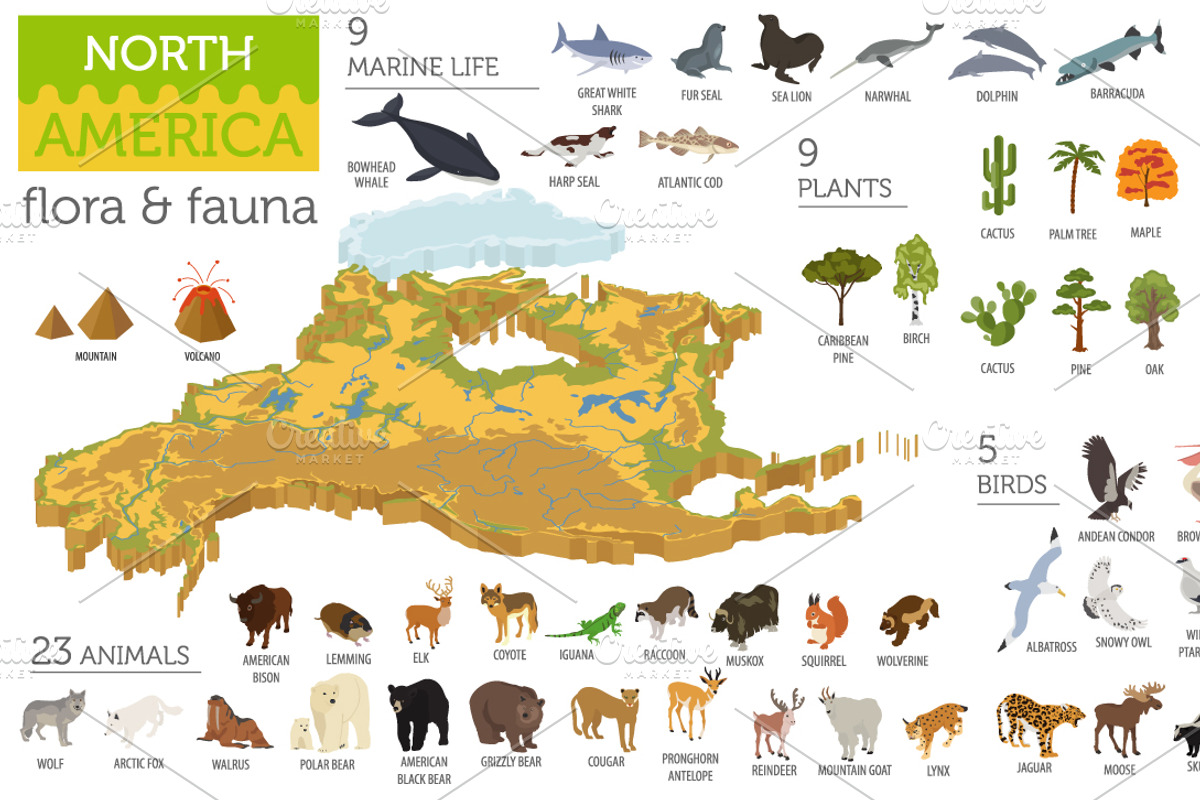 North America isometric map, an Animal Illustration by pet design shop (Photo 2 of 5)