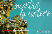 Palmaera - Signature Display Typefac, a Handwritten Font by VASTARD STUDIO (Thumbnail 10 of 12)