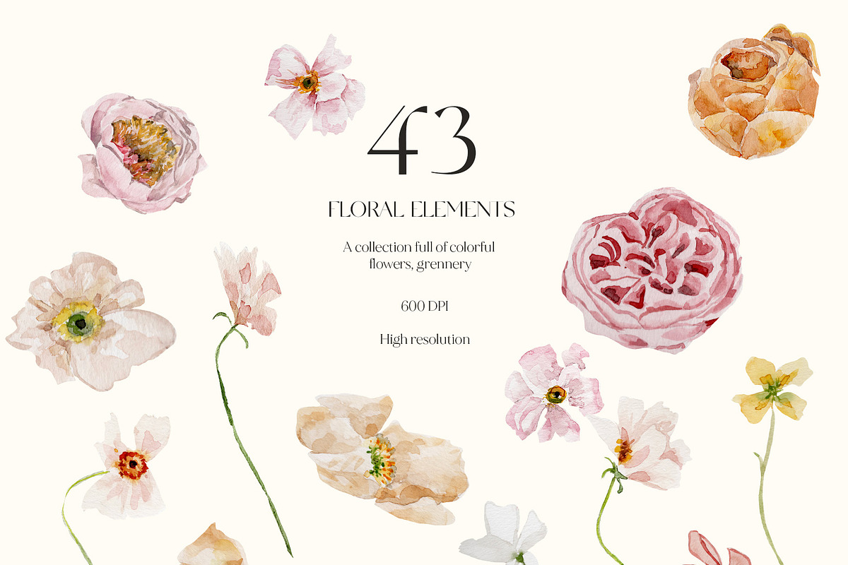 Spring summer flowers watercolor set, an Illustration by Grace Noboa Illustrations (Photo 10 of 15)