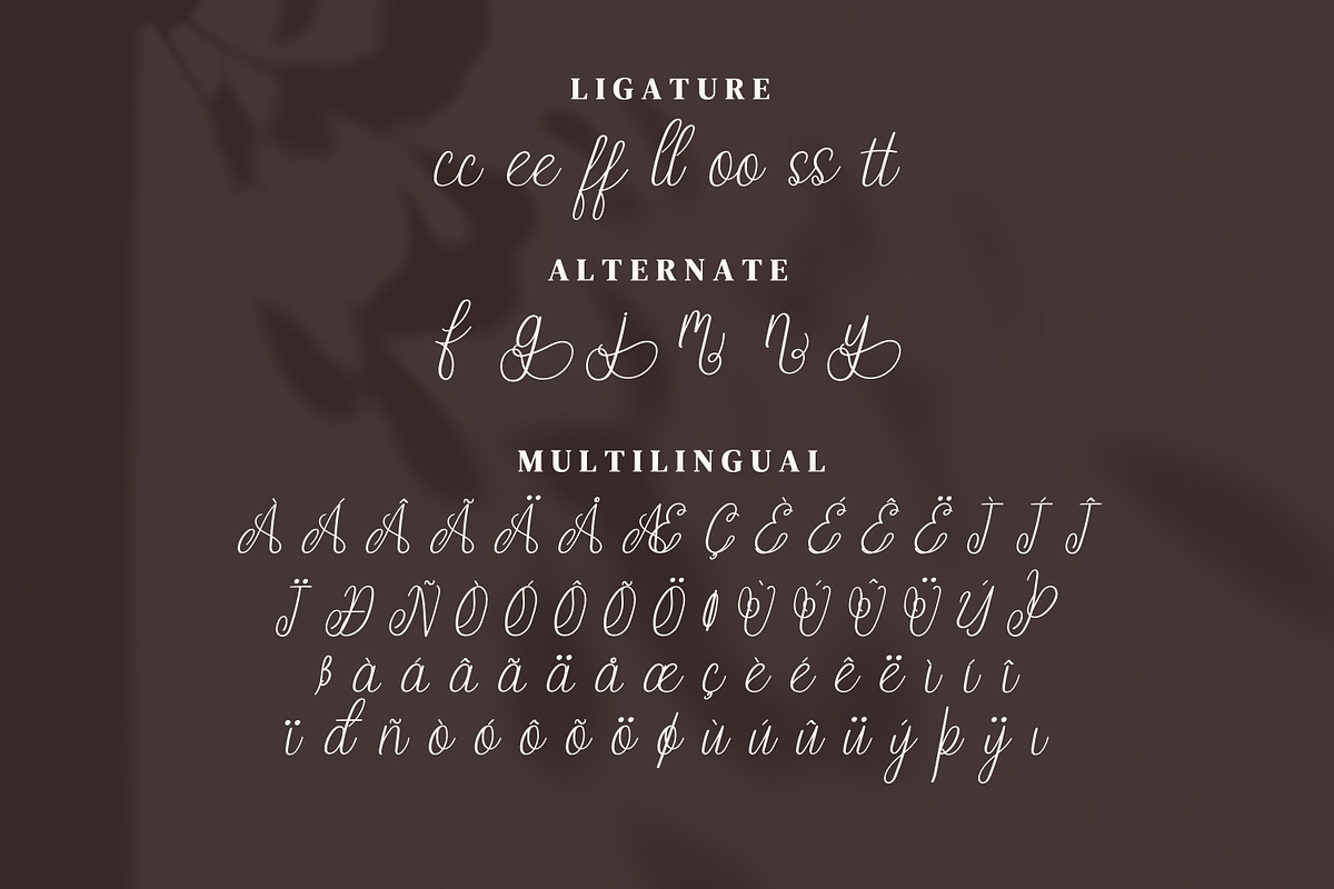 Endelly Script Fonts, a Script Font by mahstudios (Photo 13 of 15)