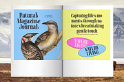 Bistoric Historic Modern Serif, a Serif Font by timelesstype.co (Thumbnail 7 of 20)
