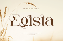 Egista - Modern Serif Font