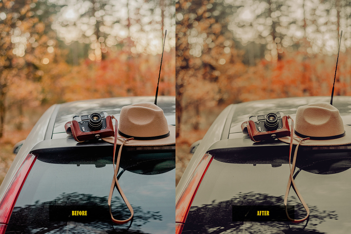 Analog Film Lightroom Presets, an Action Add-On by Lavinsky Art Store (Photo 12 of 12)