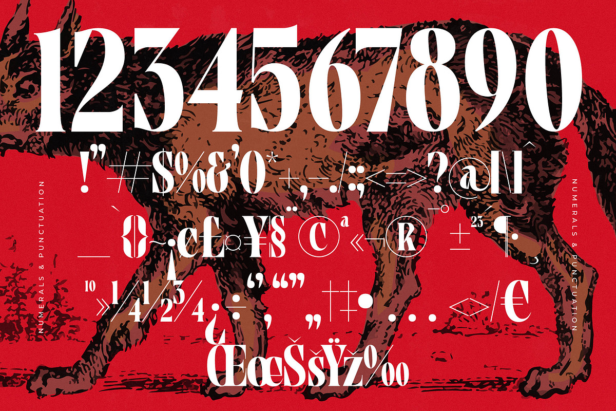 Tieldsa Bold Serif Display Font, a Serif Font by timelesstype.co (Photo 18 of 20)
