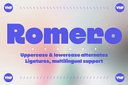 YNF Romero | Display sans serif, a Sans Serif Font by YNF (Thumbnail 1 of 21)