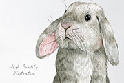 Watercolor white bunny clipart, an Animal Illustration by yana.fefelova (Thumbnail 4 of 4)