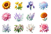 Watercolor Spring Flower Clipart, an Illustration by Dream Creation (Thumbnail 3 of 5)