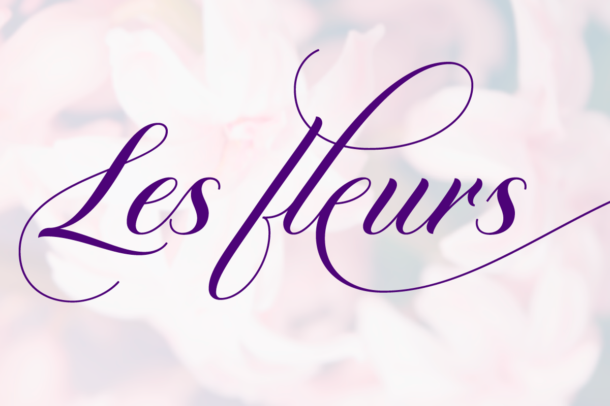 Diploma Script, a Script Font by Latinotype (Photo 7 of 14)