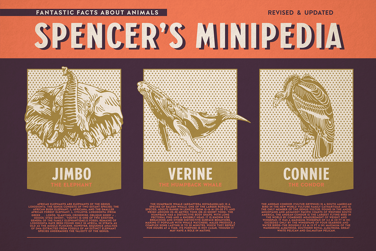 S&S Hilborn Font Bundle, a Font by Spencer & Sons Co. (Photo 17 of 17)
