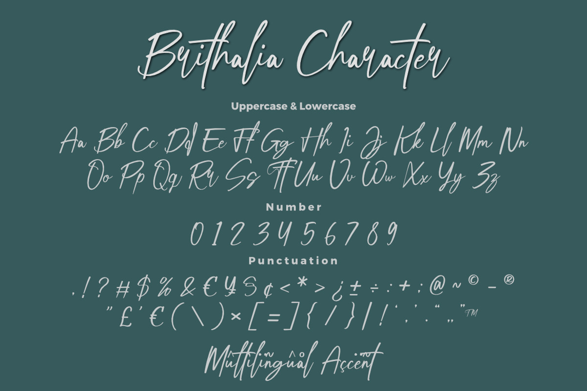 Brithalia Brush Signature Font, a Script Font by Bayuktx (Photo 10 of 10)