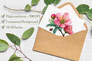 Cherry Blossom Watercolor Clip Art, an Illustration by Libby Wishes (Thumbnail 2 of 7)