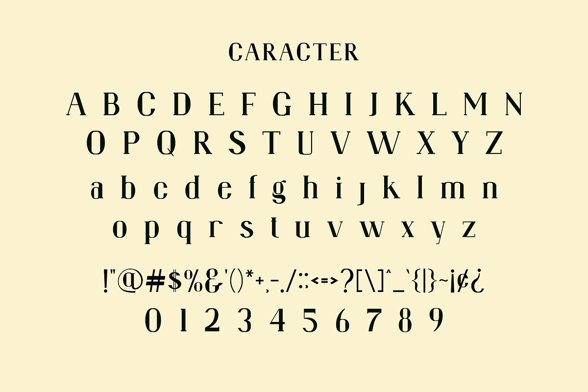 Bragita Ligature Serif Typeface, a Serif Font by Humaira_std (Photo 7 of 9)