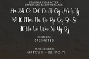 Sherilyn, a Handwritten Font by FreshTypeINK (Thumbnail 5 of 8)