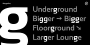 Ridtype Pro, a Sans Serif Font by Ridtype Foundry (Thumbnail 8 of 12)
