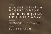 Balfour Beatty Elegant Serif Font, a Serif Font by Elegant Font (Thumbnail 7 of 8)