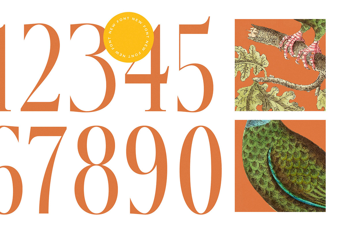 Mecoka Groove Elegant Serif Font, a Serif Font by timelesstype.co (Photo 9 of 20)
