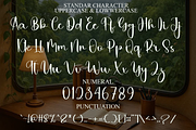 Solitude Writing, a Handwritten Font by FreshTypeINK (Thumbnail 9 of 11)