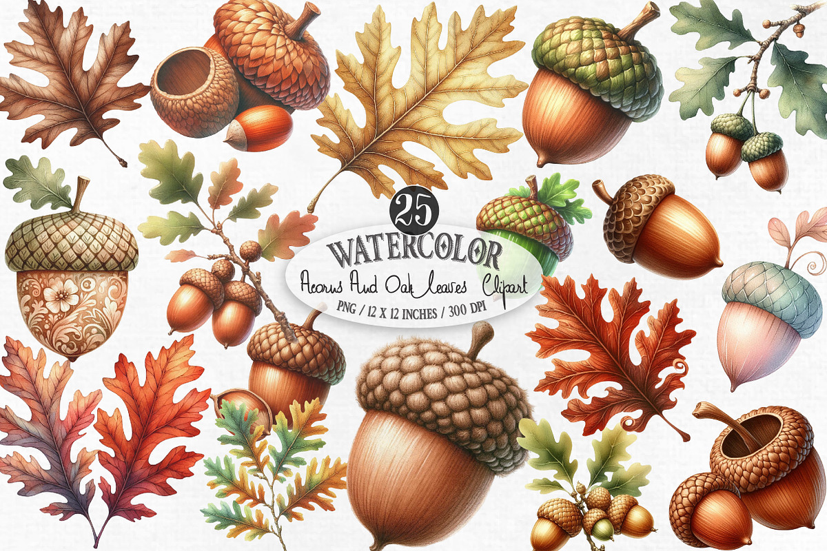 Watercolor Acorns & Oak Leaves PNG, an Illustration by Designking (Photo 1 of 4)