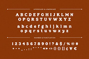 Jeikinsa – Retro Display Serif Font, a Serif Font by BrandSemut (Thumbnail 9 of 10)