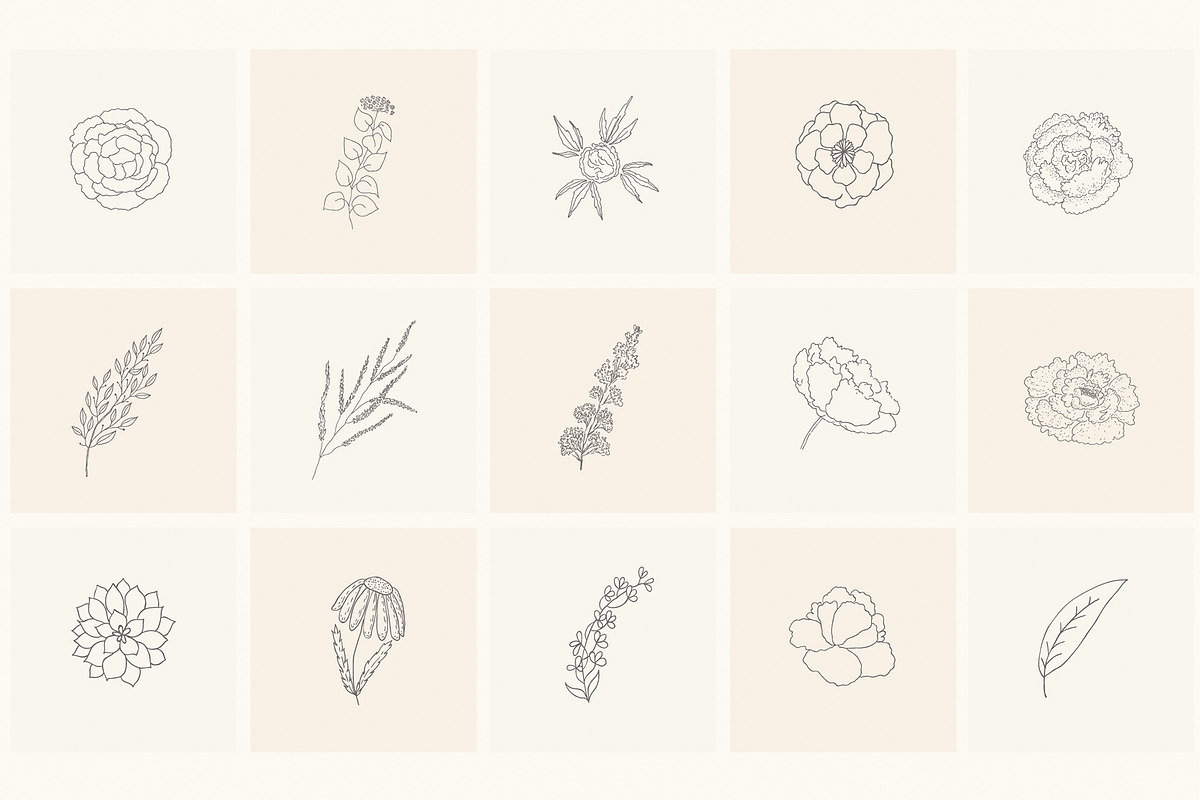 Hand Drawn Floral Elements. Frames, a Seasonal Illustration by Designwork (Photo 2 of 22)