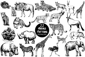 Wild Animals 2