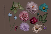 Isolated real flowers clipart set, an Object Graphic by The Graphic Parade (Thumbnail 5 of 14)