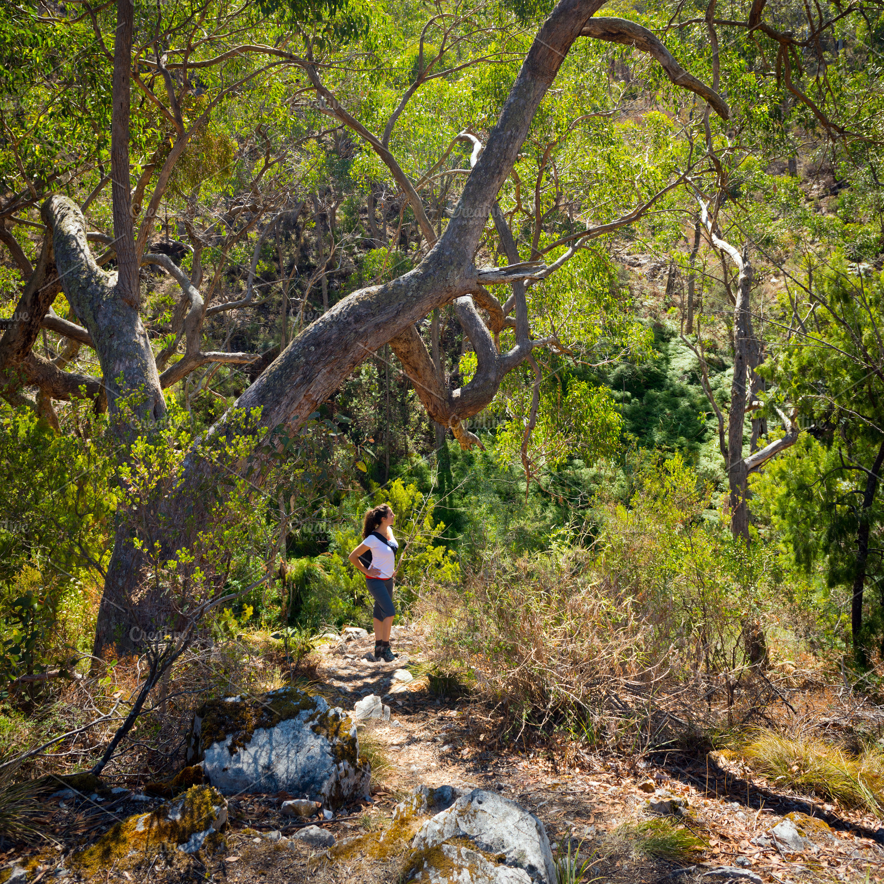 Hiking Woman, a Person Photo by THP Creative