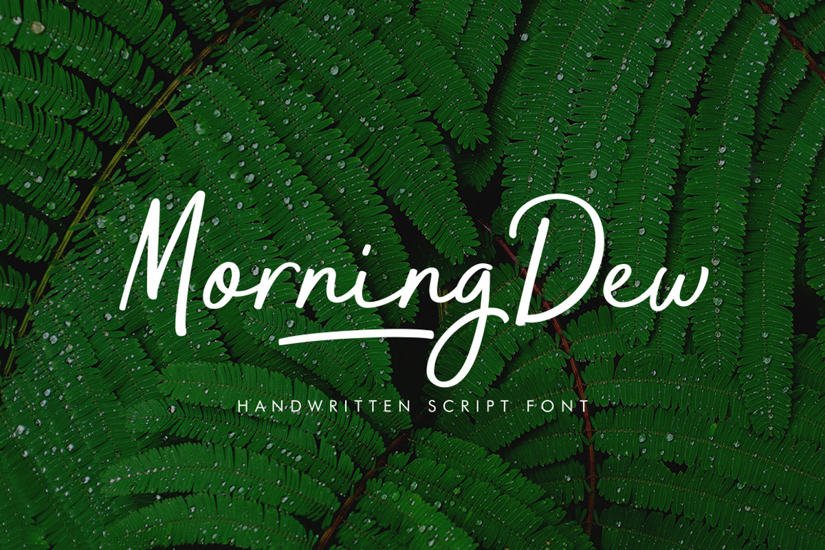 MorningDew